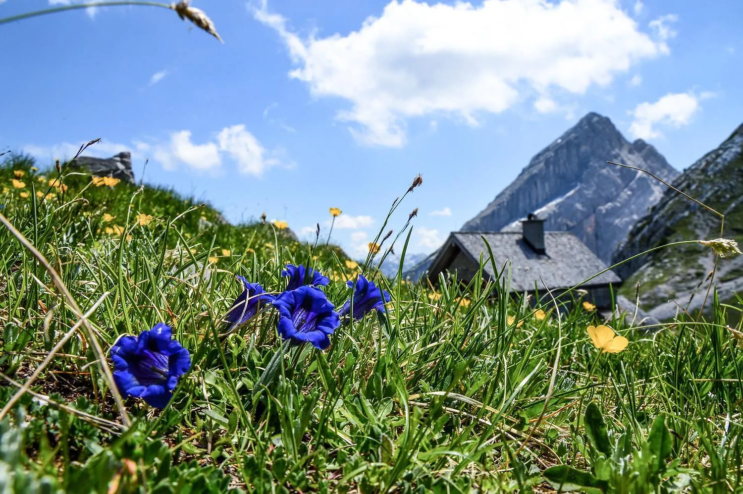 Hofmusikerhaus Fewo Hofmusikerhaus 3 Berchtesgaden
